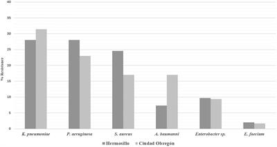 Antibiotic resistance of ESKAPE group-microorganisms in health institutions from Hermosillo and Ciudad Obregón, Sonora, México